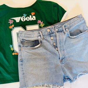 Agolde Light Blue Cut-off Jean Shorts